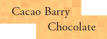 Cacao Barry Chocolate