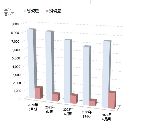 総資産・純資産グラフ