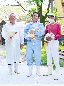Hakata Chicken