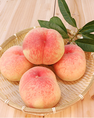 Peaches from Nagano Prefecture