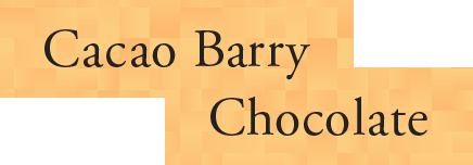 Cacao Barry Chocolate