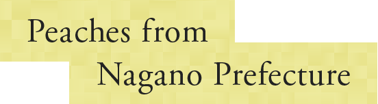 Peaches from Nagano Prefecture